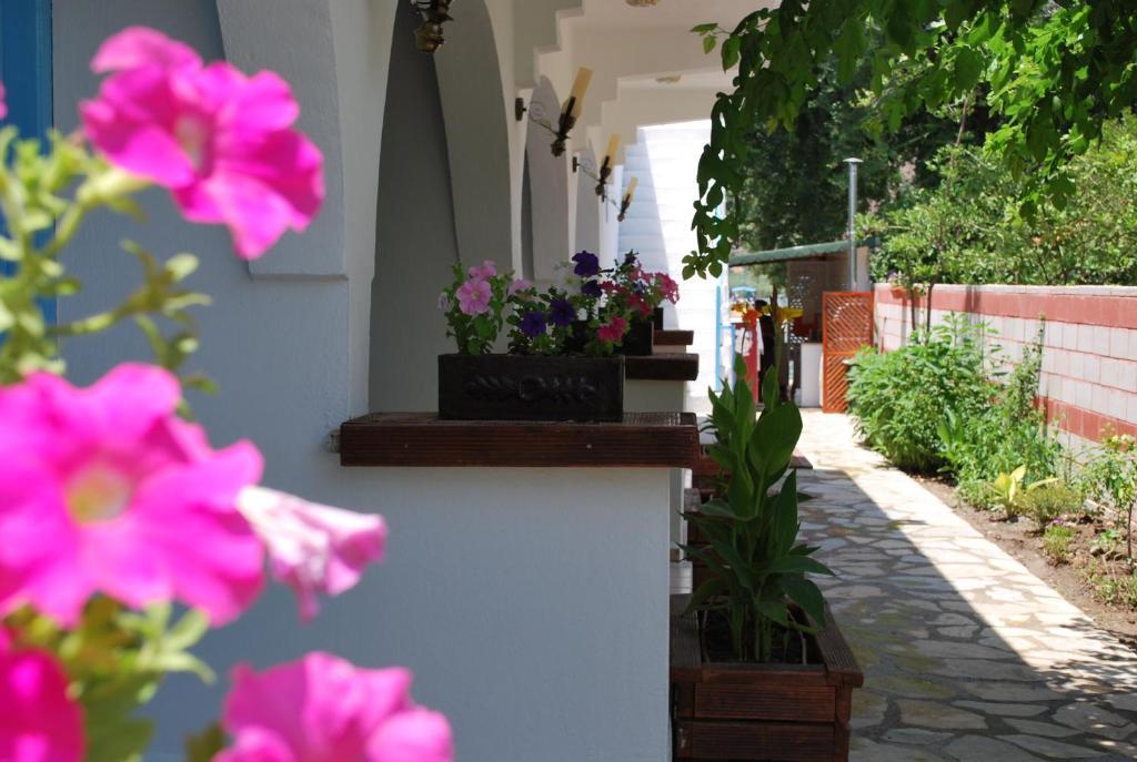Myra Hotel Dalyan Ngoại thất bức ảnh